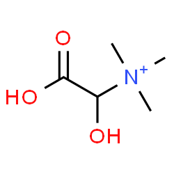 ChemSpider 2D Image | Carboxy(hydroxy)-N,N,N-trimethylmethanaminium | C5H12NO3