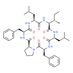 ChemSpider 2D Image | Cyclo(L-isoleucyl-L-leucyl-L-phenylalanyl-L-prolyl-L-phenylalanyl-L-leucyl) | C41H58N6O6