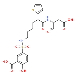 ChemSpider 2D Image | 5-{[6-{[(2R)-1-Carboxy-3-oxo-2-propanyl]amino}-6-oxo-5-(2-thienyl)hexyl]sulfamoyl}-2-hydroxybenzoic acid | C21H24N2O9S2