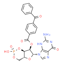 ChemSpider 2D Image | (4aR,6R,7R,7aR)-6-(2-Amino-6-oxo-3,6-dihydro-9H-purin-9-yl)-2-hydroxy-2-oxidotetrahydro-4H-furo[3,2-d][1,3,2]dioxaphosphinin-7-yl 4-benzoylbenzoate | C24H20N5O9P
