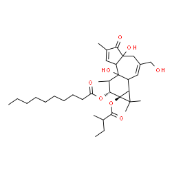ChemSpider 2D Image | (9R,9aS)-4a,7b-Dihydroxy-3-(hydroxymethyl)-1,1,6,8-tetramethyl-9a-[(2-methylbutanoyl)oxy]-5-oxo-1a,1b,4,4a,5,7a,7b,8,9,9a-decahydro-1H-cyclopropa[3,4]benzo[1,2-e]azulen-9-yl decanoate | C35H54O8