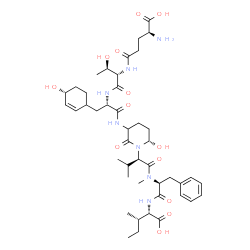 ChemSpider 2D Image | L-gamma-Glutamyl-L-threonyl-N-{(6S)-1-[(2S)-1-{[(2S)-1-{[(1S,2S)-1-carboxy-2-methylbutyl]amino}-1-oxo-3-phenyl-2-propanyl](methyl)amino}-3-methyl-1-oxo-2-butanyl]-6-hydroxy-2-oxo-3-piperidinyl}-3-[(4R
)-4-hydroxy-2-cyclohexen-1-yl]-L-alaninamide | C44H67N7O13