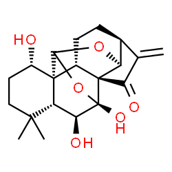 ChemSpider 2D Image | (1R,2S,5S,8R,9S,11S,13R,14S,15R,19S)-13,14,19-Trihydroxy-16,16-dimethyl-6-methylene-10,12-dioxahexacyclo[9.8.0.0~1,15~.0~2,8~.0~5,9~.0~8,13~]nonadecan-7-one | C20H26O6