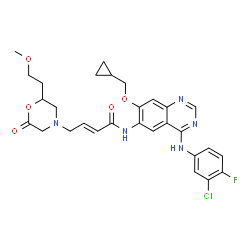 ChemSpider 2D Image | (2E)-N-{4-[(3-Chloro-4-fluorophenyl)amino]-7-(cyclopropylmethoxy)-6-quinazolinyl}-4-[2-(2-methoxyethyl)-6-oxo-4-morpholinyl]-2-butenamide | C29H31ClFN5O5