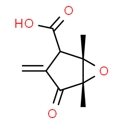 ChemSpider 2D Image | (1S,5S)-1,5-Dimethyl-3-methylene-4-oxo-6-oxabicyclo[3.1.0]hexane-2-carboxylic acid | C9H10O4