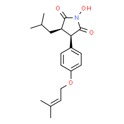 ChemSpider 2D Image | (3R,4R)-1-Hydroxy-3-isobutyl-4-{4-[(3-methyl-2-buten-1-yl)oxy]phenyl}-2,5-pyrrolidinedione | C19H25NO4