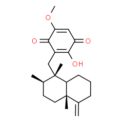 ChemSpider 2D Image | 2-Hydroxy-5-methoxy-3-{[(1S,2R,4aR)-1,2,4a-trimethyl-5-methylenedecahydro-1-naphthalenyl]methyl}-1,4-benzoquinone | C22H30O4