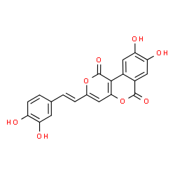ChemSpider 2D Image | 3-[(E)-2-(3,4-Dihydroxyphenyl)vinyl]-8,9-dihydroxy-1H,6H-pyrano[4,3-c]isochromene-1,6-dione | C20H12O8