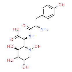 ChemSpider 2D Image | (2S)-[(2S,3S,4S,5S)-1,3,4,5-Tetrahydroxy-2-piperidinyl](L-tyrosylamino)acetic acid | C16H23N3O8