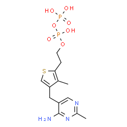 ChemSpider 2D Image | 2-{4-[(4-Amino-2-methyl-5-pyrimidinyl)methyl]-3-methyl-2-thienyl}ethyl trihydrogen diphosphate | C13H19N3O7P2S