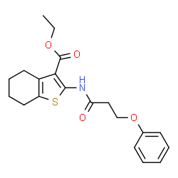 ChemSpider 2D Image | Ethyl 2-[(3-phenoxypropanoyl)amino]-4,5,6,7-tetrahydro-1-benzothiophene-3-carboxylate | C20H23NO4S