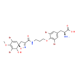 ChemSpider 2D Image | ianthesine B | C22H23Br4N3O7