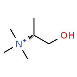 ChemSpider 2D Image | (2R)-1-Hydroxy-N,N,N-trimethyl-2-propanaminium | C6H16NO