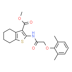 ChemSpider 2D Image | Methyl 2-{[(2,6-dimethylphenoxy)acetyl]amino}-4,5,6,7-tetrahydro-1-benzothiophene-3-carboxylate | C20H23NO4S