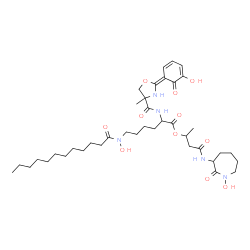 ChemSpider 2D Image | 4-[(1-Hydroxy-2-oxo-3-azepanyl)amino]-4-oxo-2-butanyl N~6~-dodecanoyl-N~6~-hydroxy-N~2~-{[(2E)-2-(5-hydroxy-6-oxo-2,4-cyclohexadien-1-ylidene)-4-methyl-1,3-oxazolidin-4-yl]carbonyl}lysinate | C39H61N5O11