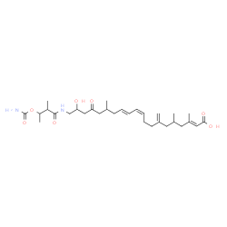 ChemSpider 2D Image | (2E,10Z,12E)-20-{[3-(Carbamoyloxy)-2-methylbutanoyl]amino}-19-hydroxy-3,5,15-trimethyl-7-methylene-17-oxo-2,10,12-icosatrienoic acid | C30H48N2O7