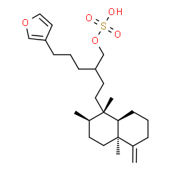 ChemSpider 2D Image | 5-(3-Furyl)-2-{2-[(1S,2R,4aS,8aR)-1,2,4a-trimethyl-5-methylenedecahydro-1-naphthalenyl]ethyl}pentyl hydrogen sulfate | C25H40O5S