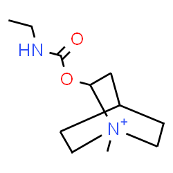 ChemSpider 2D Image | 2-[(Ethylcarbamoyl)oxy]-1-methyl-1-azoniabicyclo[2.2.2]octane | C11H21N2O2