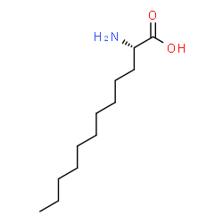 ChemSpider 2D Image | (S)-2-AMINODODECANOIC ACID | C12H25NO2
