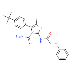 ChemSpider 2D Image | 5-Methyl-4-[4-(2-methyl-2-propanyl)phenyl]-2-[(phenoxyacetyl)amino]-3-thiophenecarboxamide | C24H26N2O3S