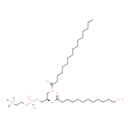 ChemSpider 2D Image | (2R)-2-[(12-Hydroxydodecanoyl)oxy]-3-(palmitoyloxy)propyl 2-(trimethylammonio)ethyl phosphate | C36H72NO9P