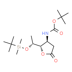 ChemSpider 2D Image | 2-Methyl-2-propanyl {(2S,3S)-2-[(1R)-1-{[dimethyl(2-methyl-2-propanyl)silyl]oxy}ethyl]-5-oxotetrahydro-3-furanyl}carbamate | C17H33NO5Si