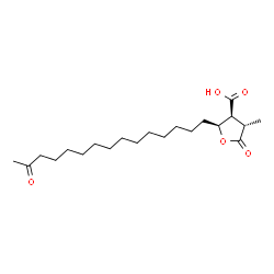 ChemSpider 2D Image | (2S,3S,4S)-4-Methyl-5-oxo-2-(14-oxopentadecyl)tetrahydro-3-furancarboxylic acid | C21H36O5