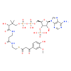 ChemSpider 2D Image | S-{(9R)-1-[(2R,3S,4R,5R)-5-(6-Amino-9H-purin-9-yl)-4-hydroxy-3-(phosphonooxy)tetrahydro-2-furanyl]-3,5,9-trihydroxy-8,8-dimethyl-3,5-dioxido-10,14-dioxo-2,4,6-trioxa-11,15-diaza-3lambda~5~,5lambda~5~-
diphosphaheptadecan-17-yl} 3-(4-hydroxy-3-methoxyphenyl)-3-oxopropanethioate (non-preferred name) | C31H44N7O20P3S