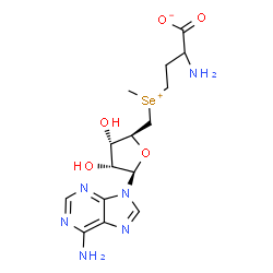 ChemSpider 2D Image | 2-Amino-4-[{[(2S,3S,4R,5R)-5-(6-amino-9H-purin-9-yl)-3,4-dihydroxytetrahydro-2-furanyl]methyl}(methyl)selenonio]butanoate (non-preferred name) | C15H22N6O5Se