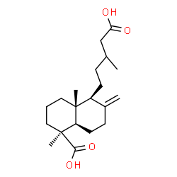 ChemSpider 2D Image | (1S,4aR,5S,8aR)-5-(4-Carboxy-3-methylbutyl)-1,4a-dimethyl-6-methylenedecahydro-1-naphthalenecarboxylic acid | C20H32O4