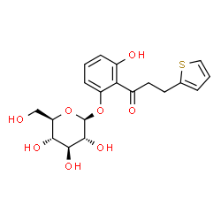 ChemSpider 2D Image | 3-Hydroxy-2-[3-(2-thienyl)propanoyl]phenyl beta-D-glucopyranoside | C19H22O8S