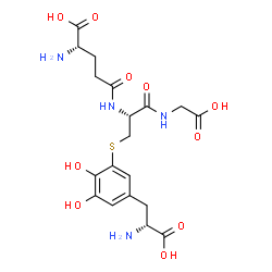 ChemSpider 2D Image | L-gamma-Glutamyl-S-{5-[(2R)-2-amino-2-carboxyethyl]-2,3-dihydroxyphenyl}-L-cysteinylglycine | C19H26N4O10S