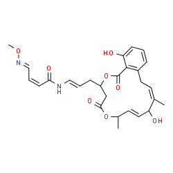 ChemSpider 2D Image | (2Z,4E)-N-{(1E)-3-[(8E,11Z)-10,17-Dihydroxy-7,11-dimethyl-1,5-dioxo-1,4,5,7,10,13-hexahydro-3H-2,6-benzodioxacyclopentadecin-3-yl]-1-propen-1-yl}-4-(methoxyimino)-2-butenamide | C27H32N2O8