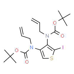 ChemSpider 2D Image | Bis(2-methyl-2-propanyl) (2-iodo-3,4-thienediyl)bis(allylcarbamate) | C20H29IN2O4S