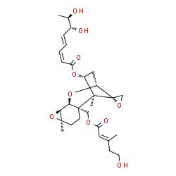 ChemSpider 2D Image | (1S,2R,5R,7S,8S,10R,12R,13S)-2-({[(2E)-5-Hydroxy-3-methyl-2-pentenoyl]oxy}methyl)-1,5-dimethylspiro[6,9-dioxatetracyclo[8.2.1.0~2,8~.0~5,7~]tridecane-13,2'-oxiran]-12-yl (2Z,4E,6R,7R)-6,7-dihydroxy-2,
4-octadienoate | C29H40O10