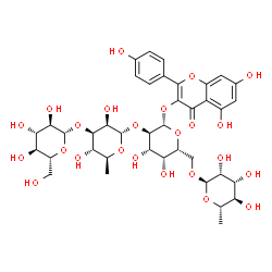 ChemSpider 2D Image | 5,7-Dihydroxy-2-(4-hydroxyphenyl)-4-oxo-4H-chromen-3-yl 6-deoxy-alpha-L-mannopyranosyl-(1->6)-[beta-D-glucopyranosyl-(1->3)-6-deoxy-alpha-L-mannopyranosyl-(1->2)]-beta-D-galactopyranoside | C39H50O24