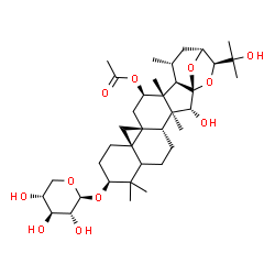 ChemSpider 2D Image | (1S,2R,3S,4R,9S,12R,14R,16R,17R,18R,19R,21R,22S)-2-Hydroxy-22-(2-hydroxy-2-propanyl)-3,8,8,17,19-pentamethyl-9-(beta-D-xylopyranosyloxy)-23,24-dioxaheptacyclo[19.2.1.0~1,18~.0~3,17~.0~4,14~.0~7,12~.0~
12,14~]tetracos-16-yl acetate | C37H58O11