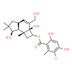 ChemSpider 2D Image | (2R,2aS,4aS,7R,7aS,7bR)-2a,7-Dihydroxy-3-(hydroxymethyl)-6,6,7b-trimethyl-2,2a,4a,5,6,7,7a,7b-octahydro-1H-cyclobuta[e]inden-2-yl 3-chloro-4,6-dihydroxy-2-methylbenzoate | C23H29ClO7