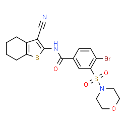 ChemSpider 2D Image | 4-Bromo-N-(3-cyano-4,5,6,7-tetrahydro-1-benzothiophen-2-yl)-3-(4-morpholinylsulfonyl)benzamide | C20H20BrN3O4S2