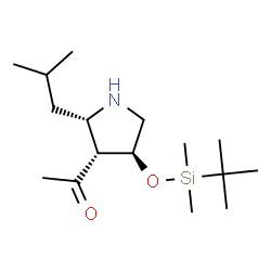 ChemSpider 2D Image | 1-[(2S,3R,4S)-4-{[Dimethyl(2-methyl-2-propanyl)silyl]oxy}-2-isobutyl-3-pyrrolidinyl]ethanone | C16H33NO2Si