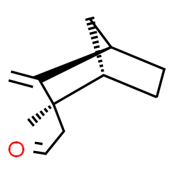 ChemSpider 2D Image | [(1S,2R,4R)-2-Methyl-3-methylenebicyclo[2.2.1]hept-2-yl]acetaldehyde | C11H16O