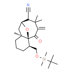ChemSpider 2D Image | (1S,2R,6S,8S)-2-({[Dimethyl(2-methyl-2-propanyl)silyl]oxy}methyl)-6,10,10-trimethyl-11-methylene-12-oxo-13-oxatricyclo[6.4.1.0~1,6~]tridecane-9-carbonitrile | C24H39NO3Si