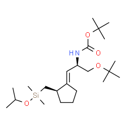ChemSpider 2D Image | 2-Methyl-2-propanyl {(1E,2R)-1-[(2R)-2-{[isopropoxy(dimethyl)silyl]methyl}cyclopentylidene]-3-[(2-methyl-2-propanyl)oxy]-2-propanyl}carbamate | C23H45NO4Si