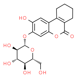 ChemSpider 2D Image | 2-Hydroxy-6-oxo-7,8,9,10-tetrahydro-6H-benzo[c]chromen-3-yl beta-D-glucopyranoside | C19H22O9