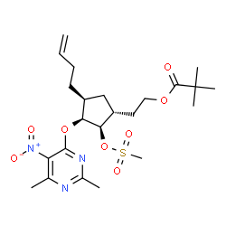 ChemSpider 2D Image | 2-{(1R,2R,3S,4S)-4-(3-Buten-1-yl)-3-[(2,6-dimethyl-5-nitro-4-pyrimidinyl)oxy]-2-[(methylsulfonyl)oxy]cyclopentyl}ethyl pivalate | C23H35N3O8S