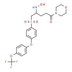 ChemSpider 2D Image | 4-(Hydroxyamino)-1-(4-morpholinyl)-5-({4-[4-(trifluoromethoxy)phenoxy]phenyl}sulfonyl)-1-pentanone | C22H25F3N2O7S