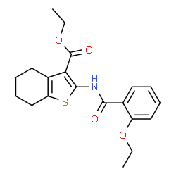 ChemSpider 2D Image | ethyl 2-(2-ethoxybenzamido)-4,5,6,7-tetrahydro-1-benzothiophene-3-carboxylate | C20H23NO4S
