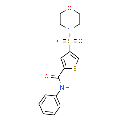 ChemSpider 2D Image | 4-(4-Morpholinylsulfonyl)-N-phenyl-2-thiophenecarboxamide | C15H16N2O4S2