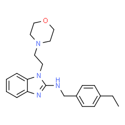 ChemSpider 2D Image | N-(4-Ethylbenzyl)-1-[2-(4-morpholinyl)ethyl]-1H-benzimidazol-2-amine | C22H28N4O