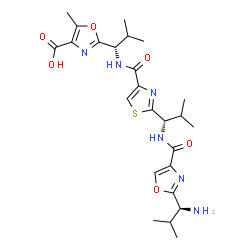 ChemSpider 2D Image | 2-[(1S)-1-{[(2-{(1S)-1-[({2-[(1S)-1-Amino-2-methylpropyl]-1,3-oxazol-4-yl}carbonyl)amino]-2-methylpropyl}-1,3-thiazol-4-yl)carbonyl]amino}-2-methylpropyl]-5-methyl-1,3-oxazole-4-carboxylic acid | C25H34N6O6S
